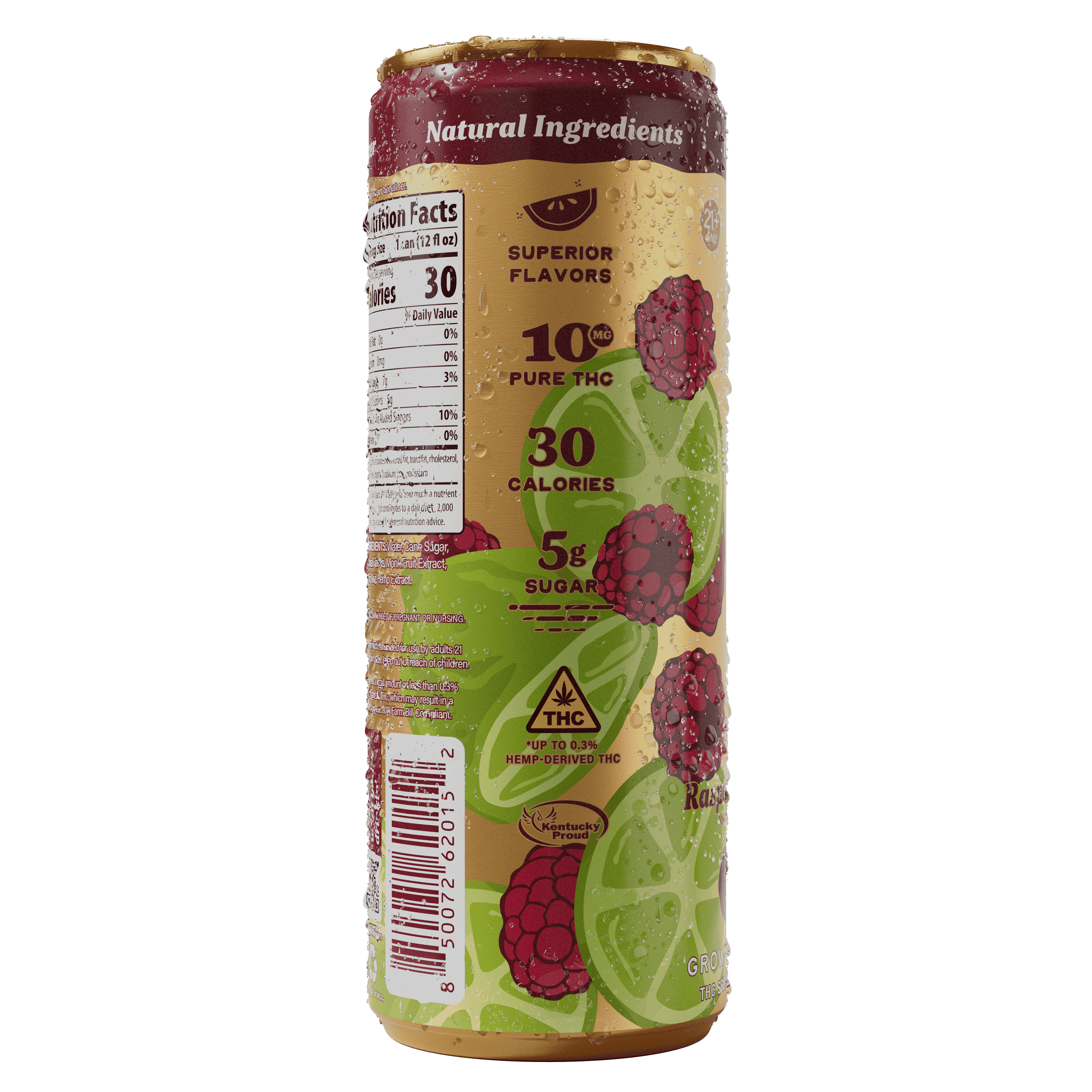 Raspberry Limeade