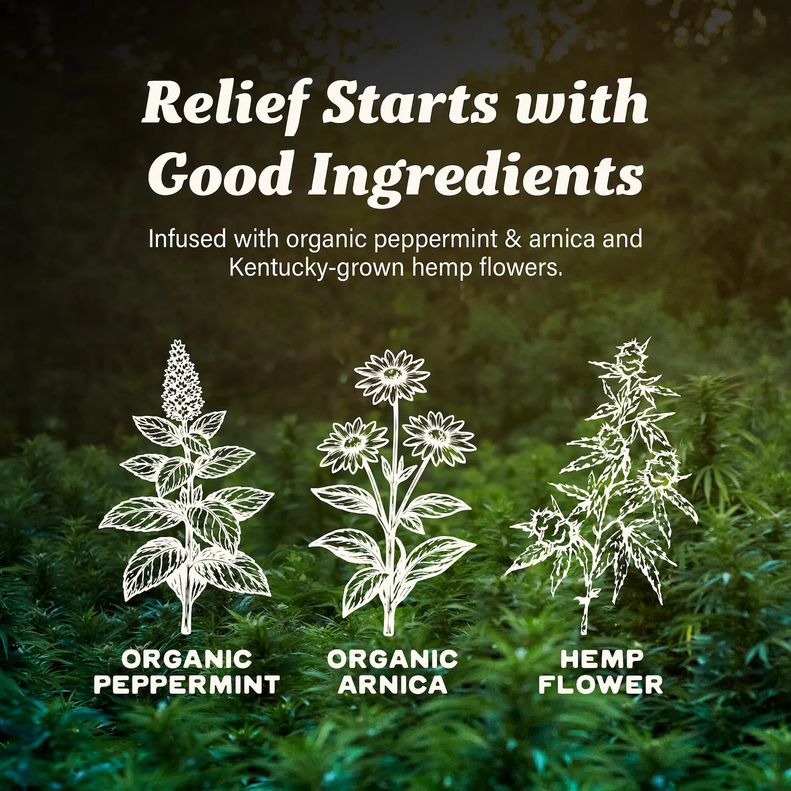 CBD Balm