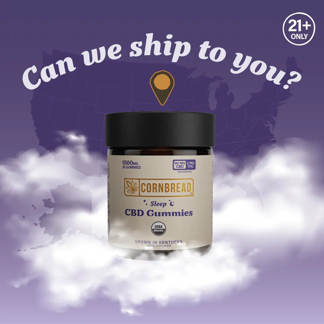 CBD Sleep Gummies