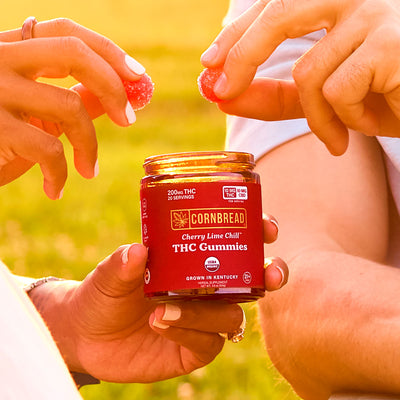 Cherry Lime Chill THC Gummies, 10mg