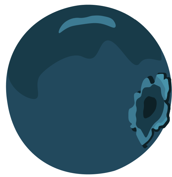 Sunny Skies in a THC Seltzer