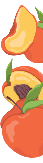 Make Life Peachy with a THC Seltzer