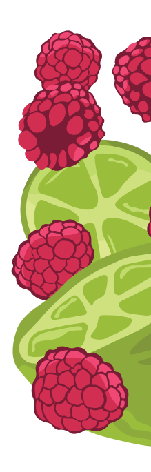 Raspberry Fields Forever in a THC Seltzer